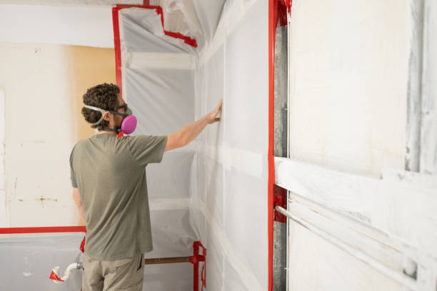 Best Basement Mold Removal  in Mineville, NY